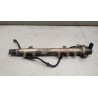 RIPARTITORE RAIL DEL CARBURANTE FIAT Idea 2003>2005 used